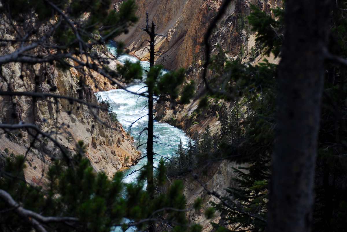 Yellowstone Falls