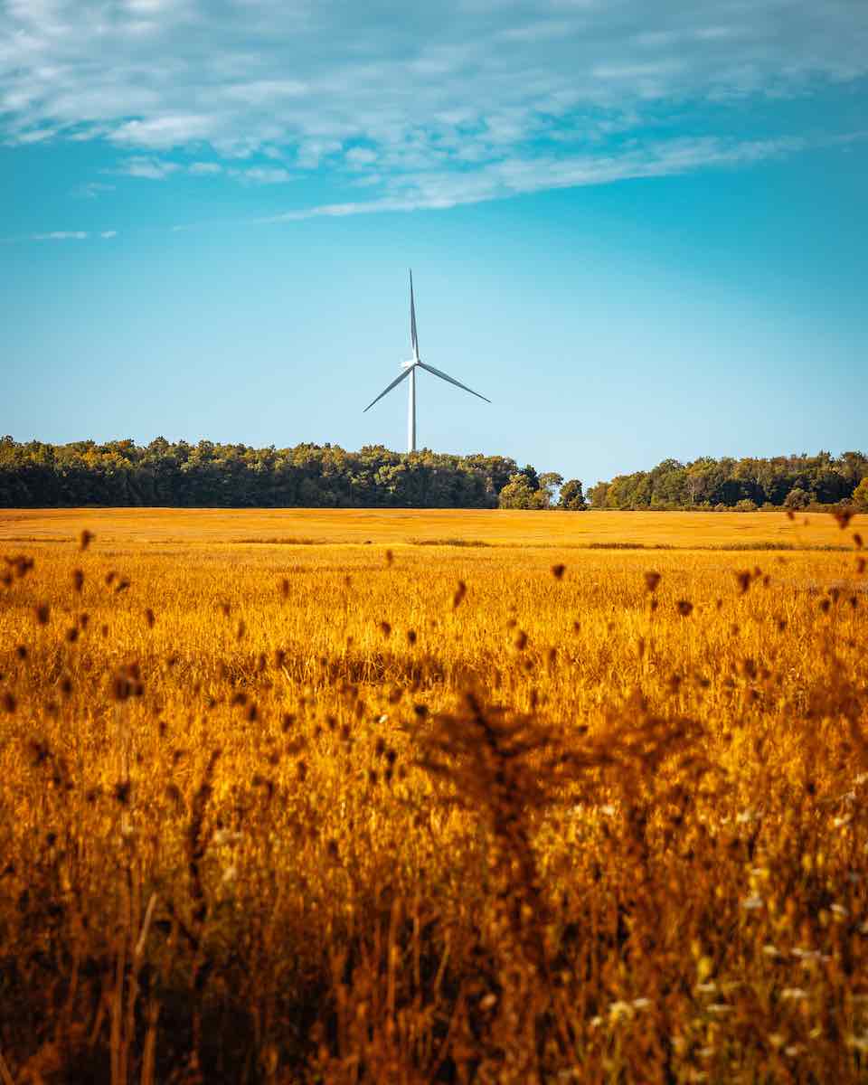 Windmill